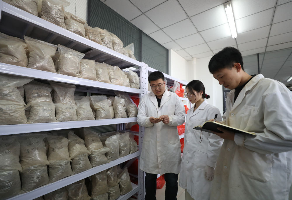 新华全媒＋丨探访沈阳农业大学土肥高效利用国家工程研究中心